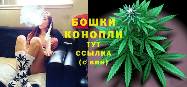 прущие крисы Вяземский