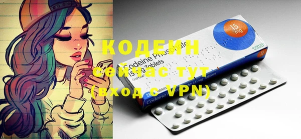 прущие крисы Вяземский