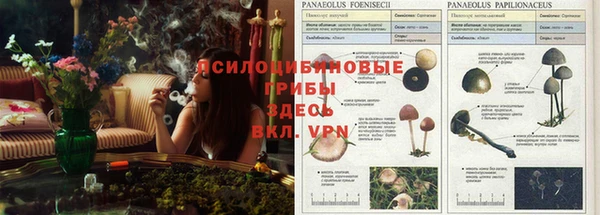 прущие крисы Вяземский
